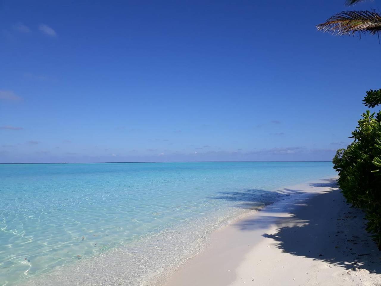 Thoddoo Beach Holiday Exterior foto